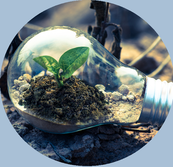 Earthlight Enterprises